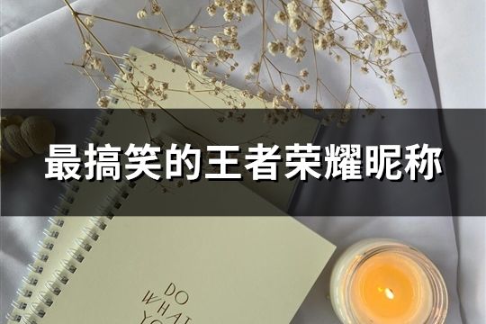 最搞笑的王者榮耀昵稱(共133個(gè))