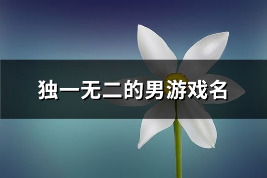 獨一無二的男游戲名(精選117個)