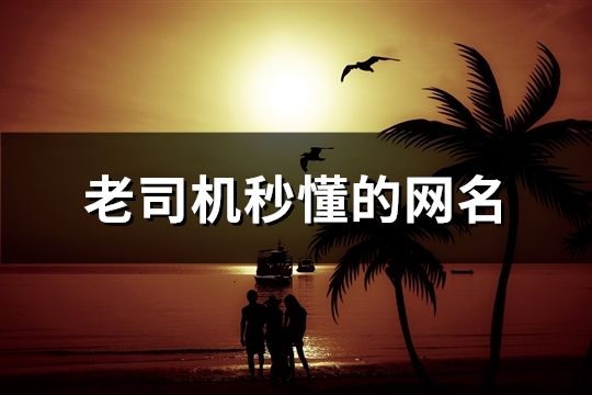老司機秒懂的網名(共89個)