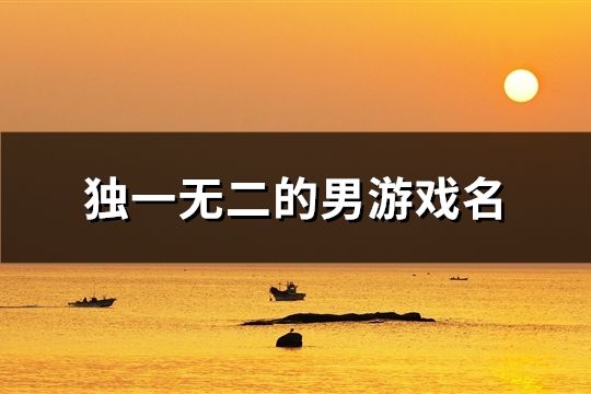 獨(dú)一無(wú)二的男游戲名(精選117個(gè))