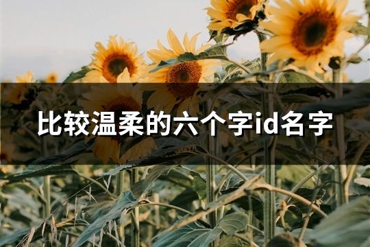 比較溫柔的六個字id名字(共110個)