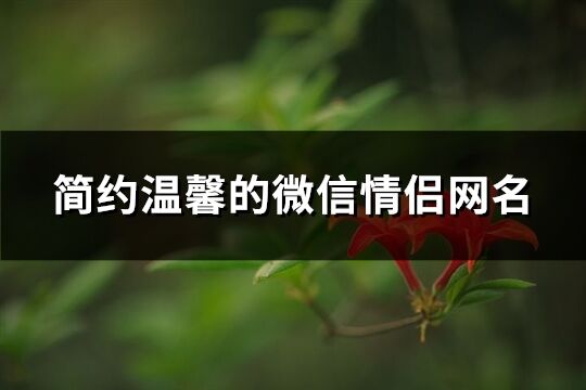簡約溫馨的微信情侶網(wǎng)名(精選211個)