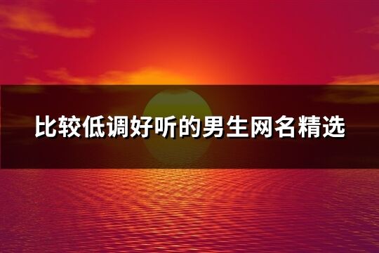 比較低調好聽的男生網名精選(共626個)