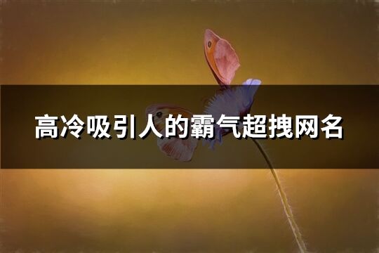 高冷吸引人的霸氣超拽網(wǎng)名(590個(gè))