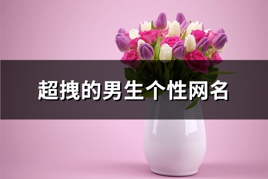 超拽的男生個性網名(精選387個)