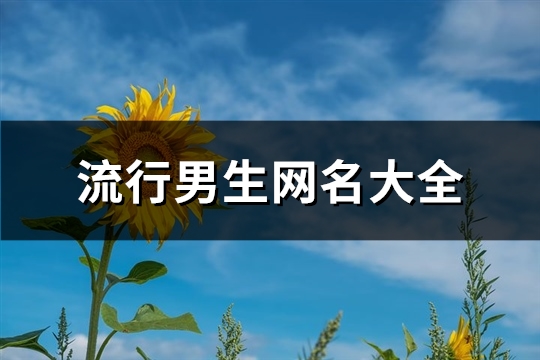流行男生網名大全(287個)