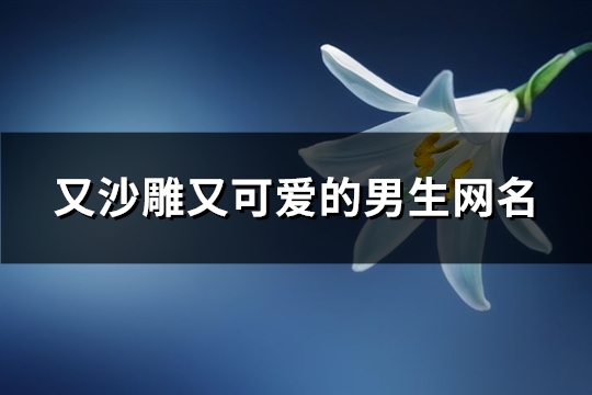 又沙雕又可愛的男生網名(331個)