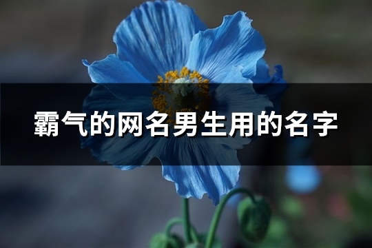 霸氣的網名男生用的名字(共1086個)