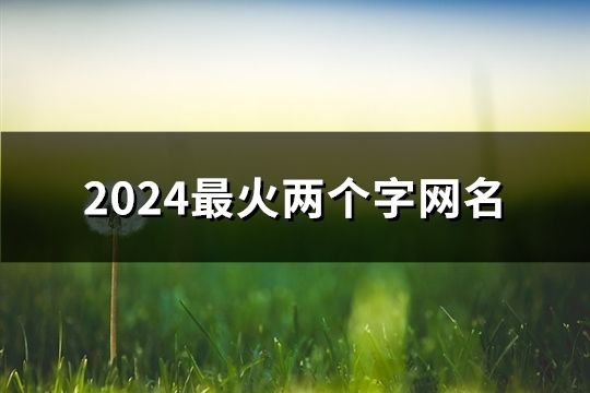2024最火兩個(gè)字網(wǎng)名(精選2980個(gè))
