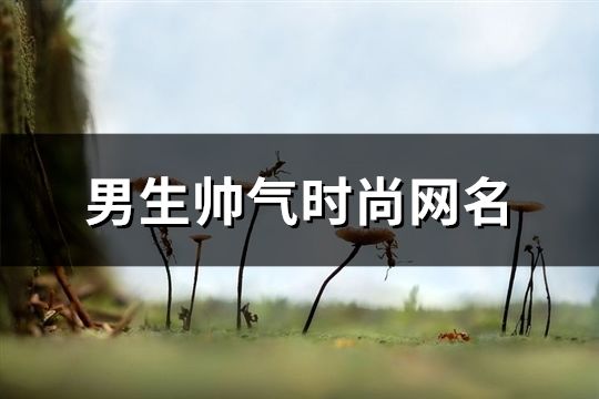 男生帥氣時尚網名(精選1133個)