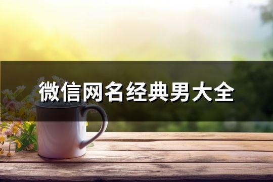 微信網(wǎng)名經(jīng)典男大全(共706個(gè))