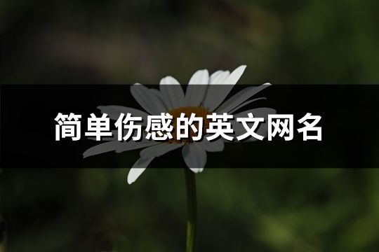 簡單傷感的英文網名(188個)