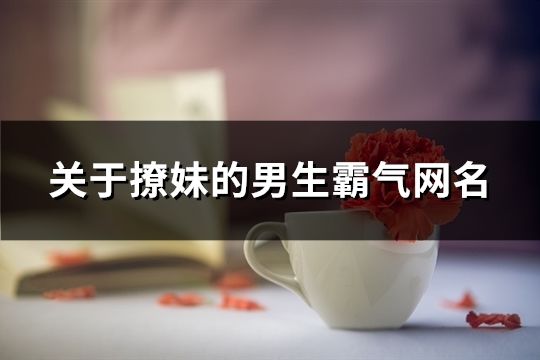 關于撩妹的男生霸氣網名(共503個)