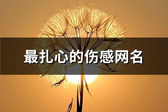 最扎心的傷感網名(295個)