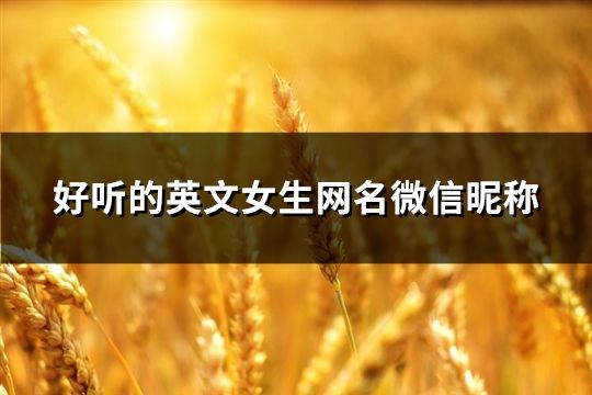 好聽的英文女生網名微信昵稱(127個)