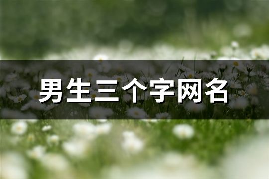 男生三個字網名(精選1304個)