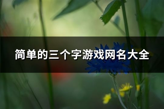 簡單的三個字游戲網名大全(精選911個)