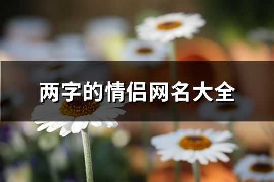 兩字的情侶網名大全(共711個)