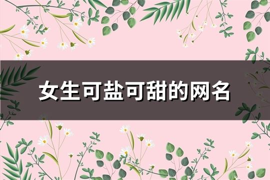 女生可鹽可甜的網名(195個)