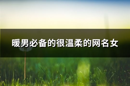 暖男必備的很溫柔的網名女(122個)