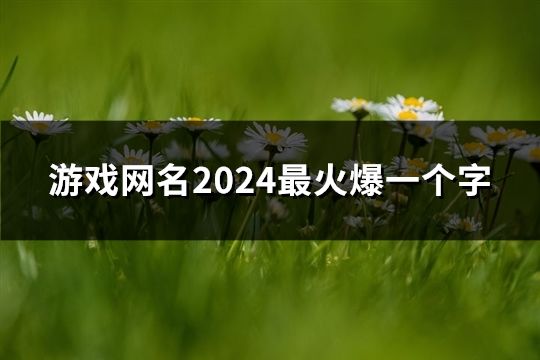 游戲網名2024最火爆一個字(精選249個)