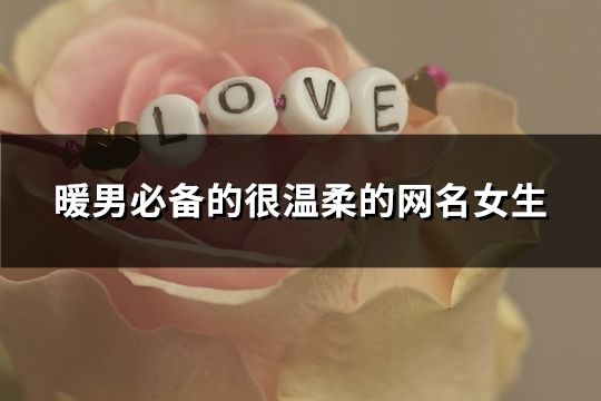暖男必備的很溫柔的網(wǎng)名女生(精選252個(gè))