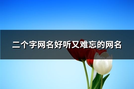 二個字網名好聽又難忘的網名(精選227個)