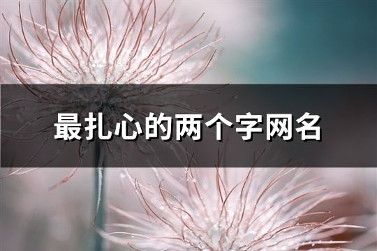 最扎心的兩個字網名(精選142個)