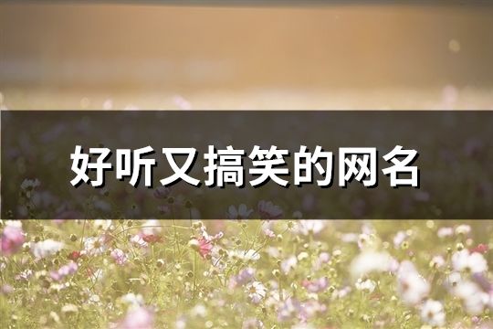 好聽又搞笑的網(wǎng)名(共71個)
