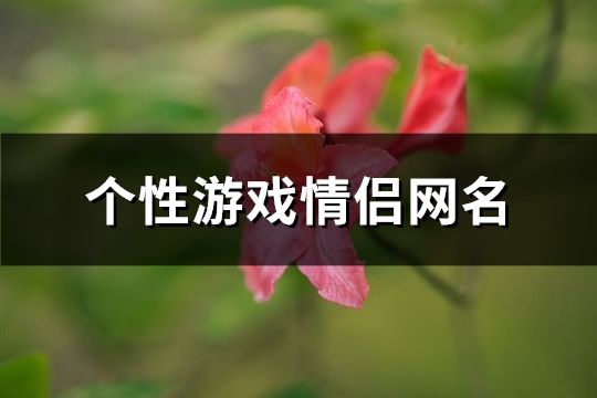 個性游戲情侶網(wǎng)名(共265個)