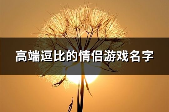 高端逗比的情侶游戲名字(精選128個)