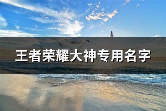 王者榮耀大神專用名字(共428個)