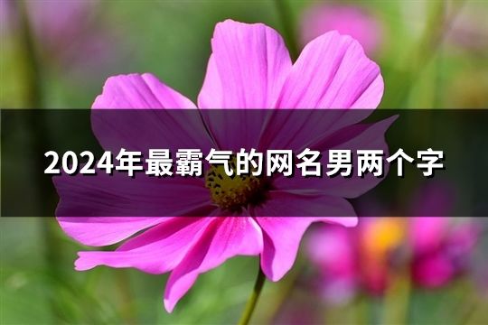 2024年最霸氣的網(wǎng)名男兩個字(97個)