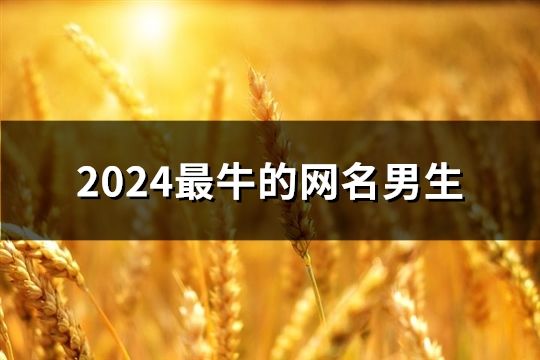2024最牛的網名男生(精選184個)