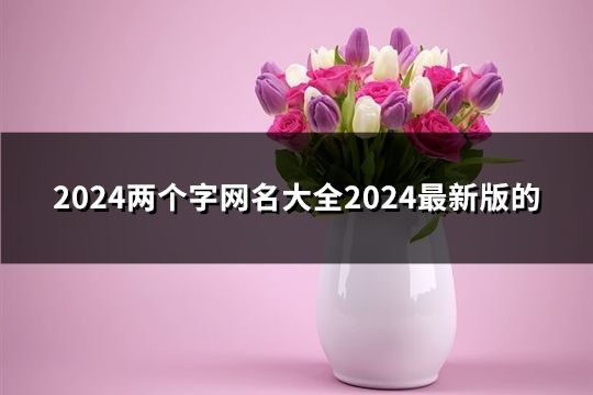 2024兩個(gè)字網(wǎng)名大全2024最新版的(81個(gè))