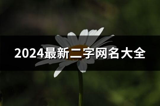 2024最新二字網名大全(共288個)
