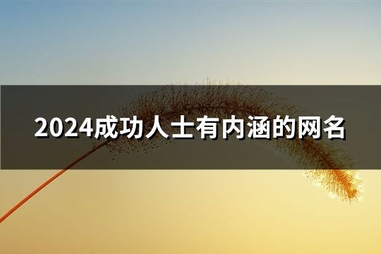 2024成功人士有內涵的網名(共204個)