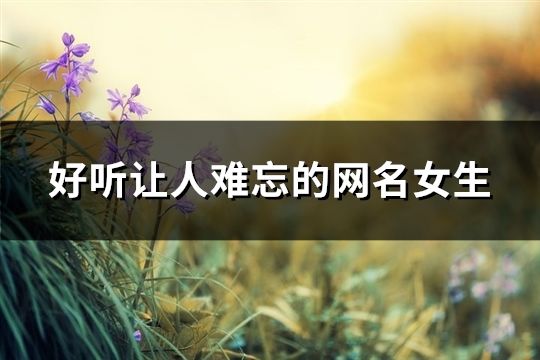 好聽讓人難忘的網(wǎng)名女生(精選236個)