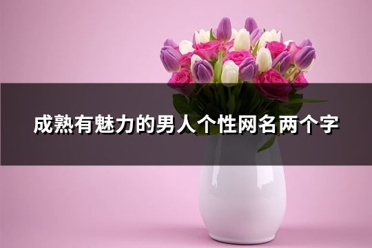 成熟有魅力的男人個性網名兩個字(300個)