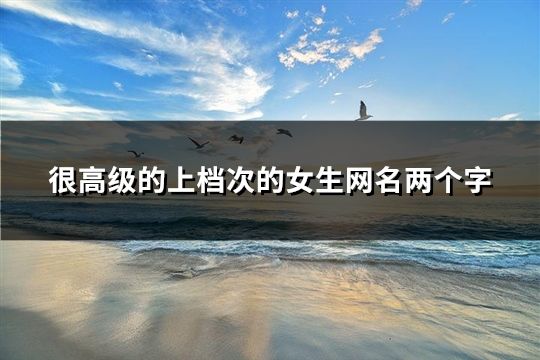 很高級的上檔次的女生網名兩個字(295個)