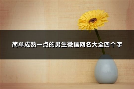 簡單成熟一點的男生微信網名大全四個字(83個)
