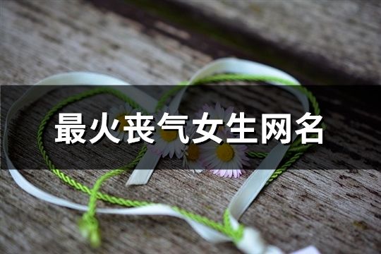 最火喪氣女生網(wǎng)名(精選138個(gè))