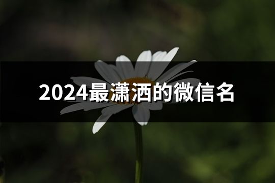 2024最瀟灑的微信名(精選81個)