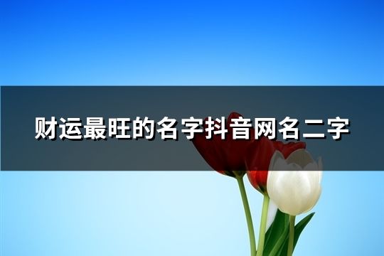 財(cái)運(yùn)最旺的名字抖音網(wǎng)名二字(共53個(gè))