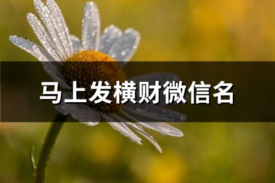 馬上發橫財微信名(精選138個)