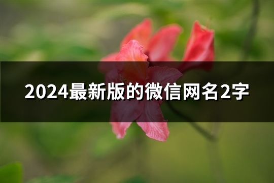2024最新版的微信網名2字(共278個)