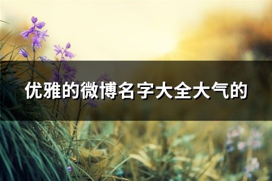 優雅的微博名字大全大氣的(共291個)
