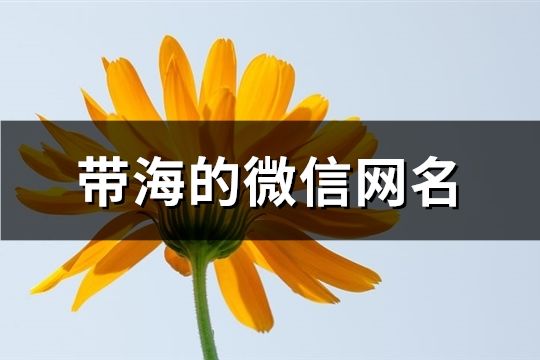 帶海的微信網名(精選337個)