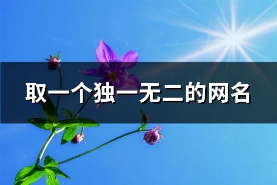 取一個(gè)獨(dú)一無二的網(wǎng)名(共828個(gè))