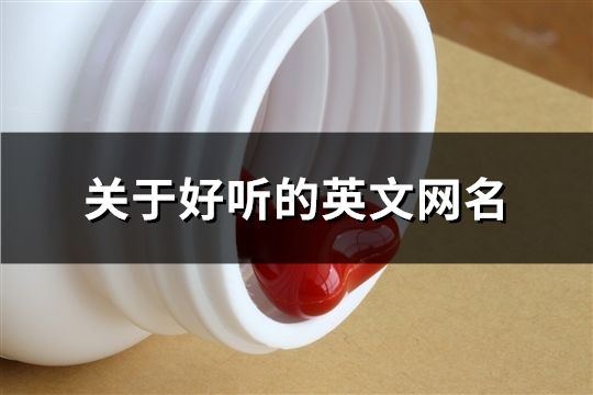 關于好聽的英文網名(精選314個)
